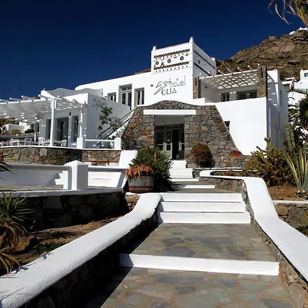 酒店 欧丽雅酒店 3*